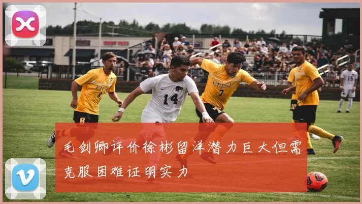 毛剑卿评价徐彬留洋潜力巨大但需克服困难证明实力