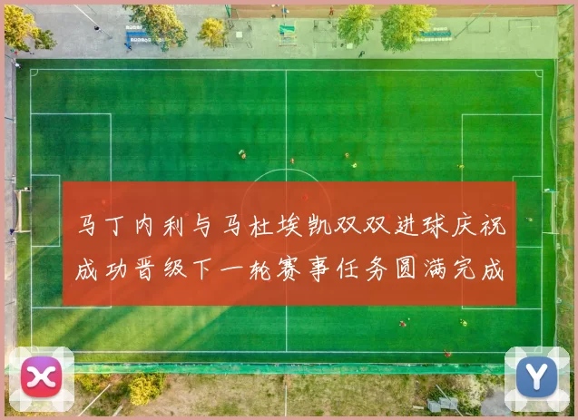 马丁内利与马杜埃凯双双进球庆祝成功晋级下一轮赛事任务圆满完成