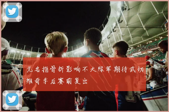 无名指骨折影响不大绿军期待武切维奇季后赛前复出