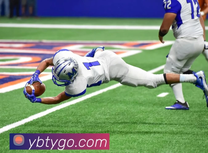 多媒体互动体验