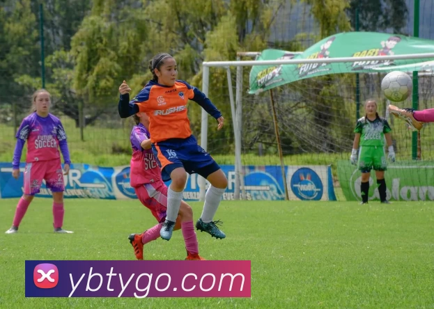 亚博体育APP 高清赛事图